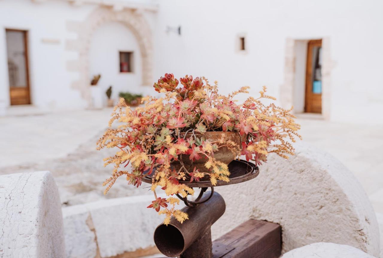 Masseria Casamassima Agriturismo Ostuni Bagian luar foto