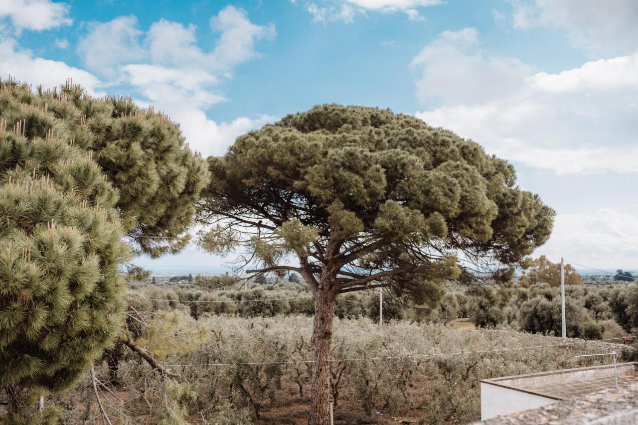 Masseria Casamassima Agriturismo Villa Ostuni Bagian luar foto