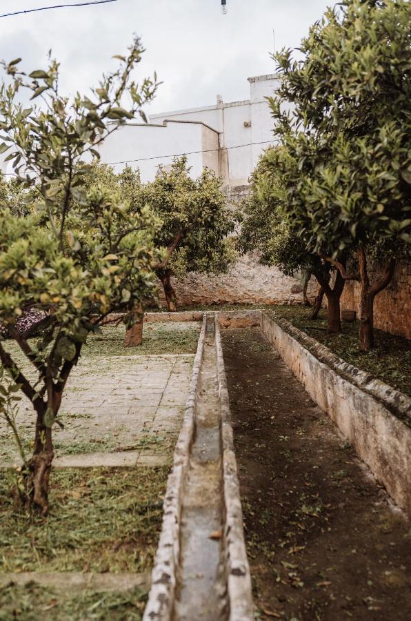 Masseria Casamassima Agriturismo Ostuni Bagian luar foto