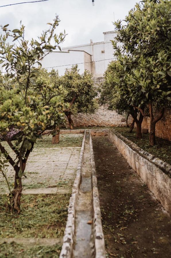 Masseria Casamassima Agriturismo Villa Ostuni Bagian luar foto