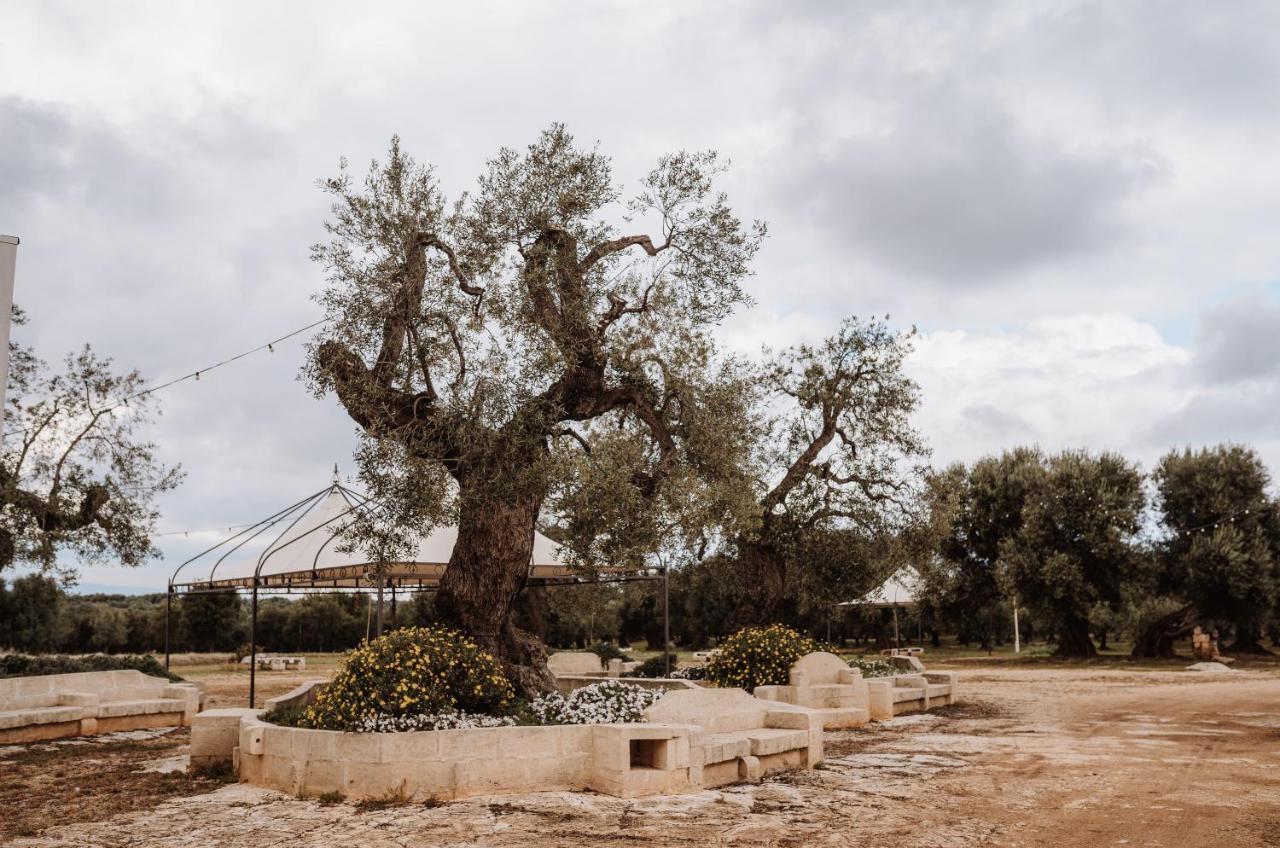 Masseria Casamassima Agriturismo Ostuni Bagian luar foto