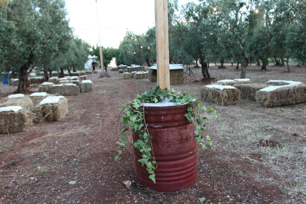 Masseria Casamassima Agriturismo Ostuni Bagian luar foto