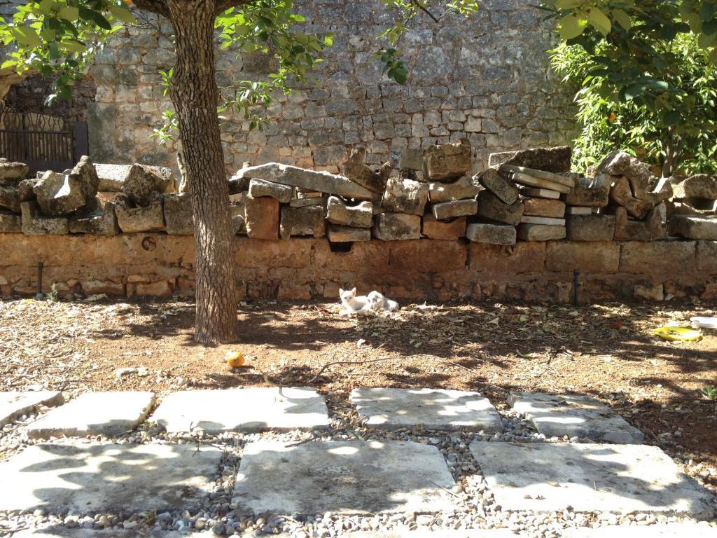 Masseria Casamassima Agriturismo Villa Ostuni Bagian luar foto